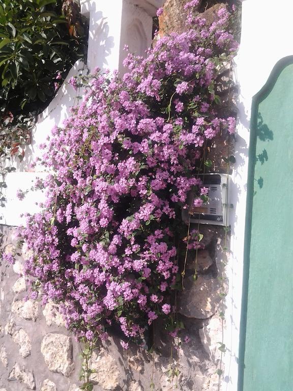 B&B Angelide Anacapri  Dış mekan fotoğraf
